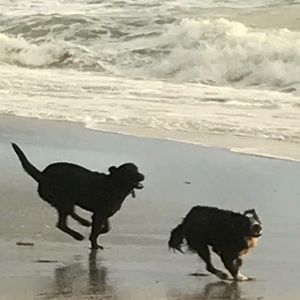 Meet your Posher, Y’lon